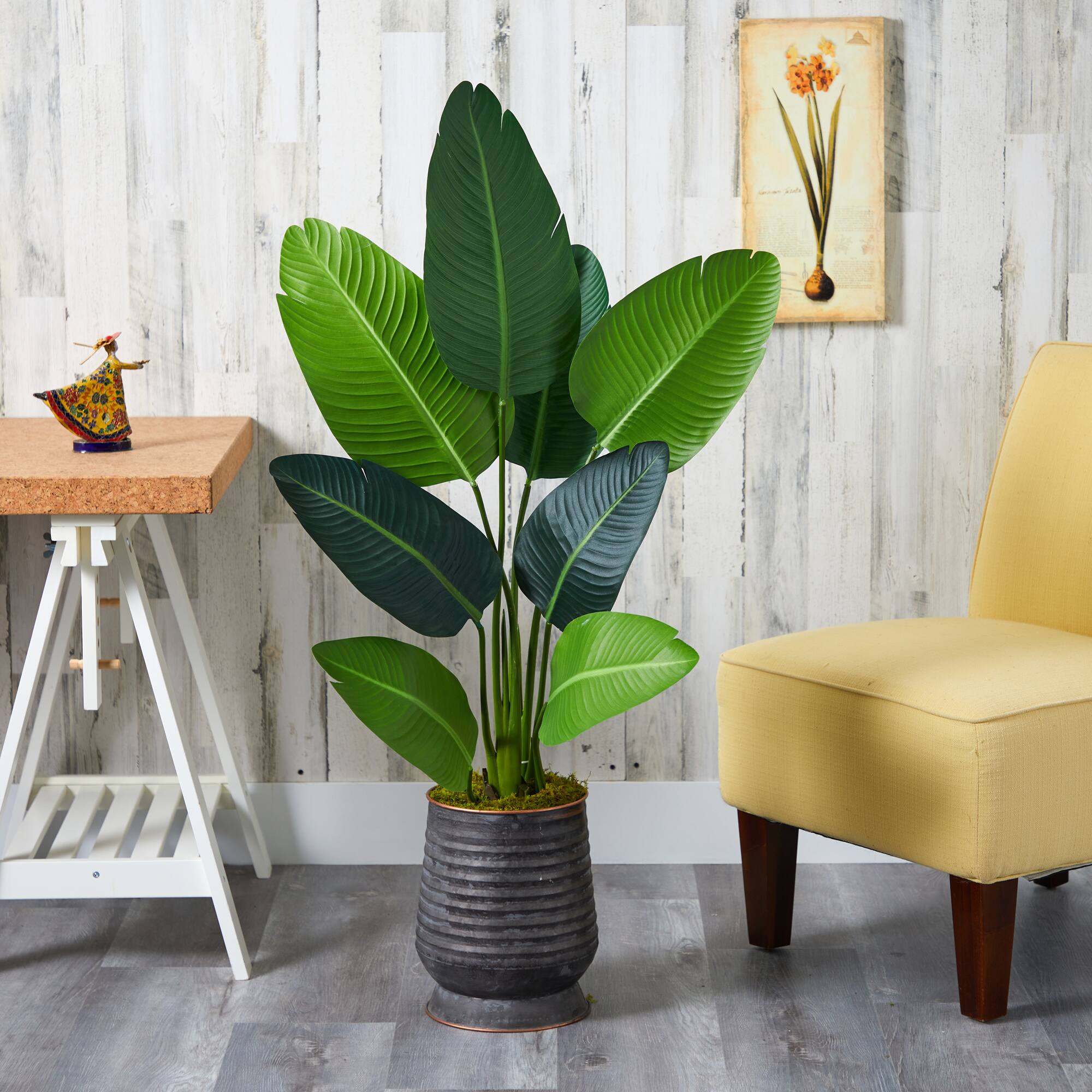 4ft. Travelers Palm Tree in Metal Planter